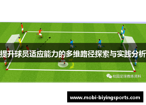 提升球员适应能力的多维路径探索与实践分析