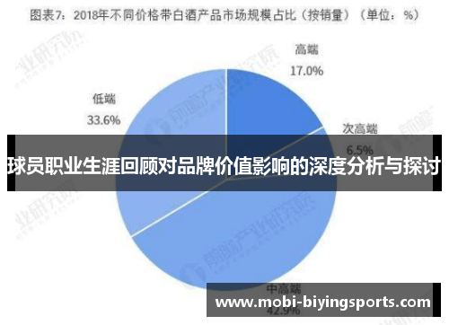 球员职业生涯回顾对品牌价值影响的深度分析与探讨