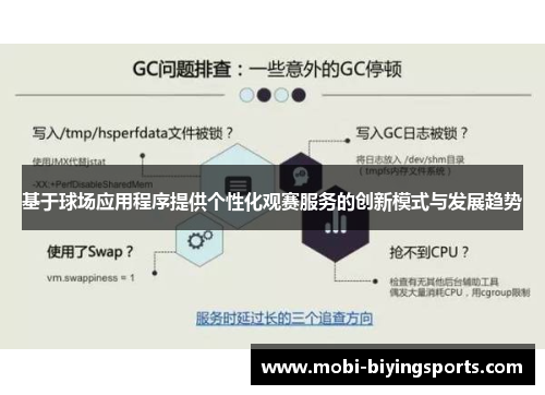 基于球场应用程序提供个性化观赛服务的创新模式与发展趋势