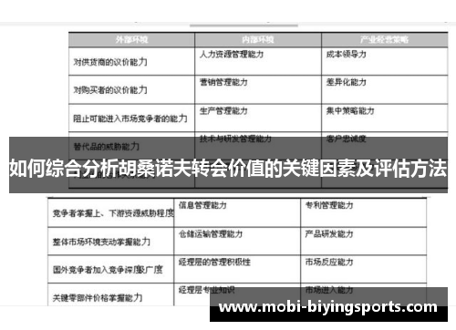 如何综合分析胡桑诺夫转会价值的关键因素及评估方法
