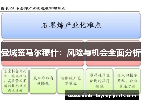 曼城签马尔穆什：风险与机会全面分析