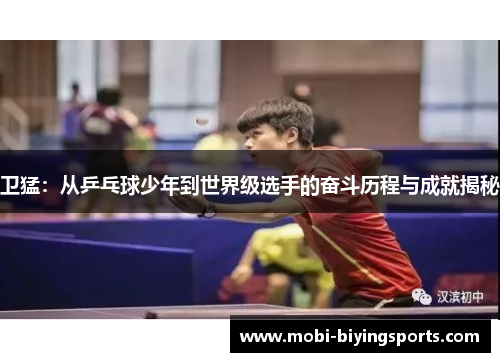 卫猛：从乒乓球少年到世界级选手的奋斗历程与成就揭秘