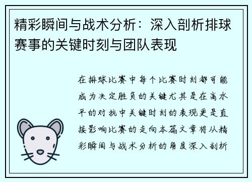 精彩瞬间与战术分析：深入剖析排球赛事的关键时刻与团队表现