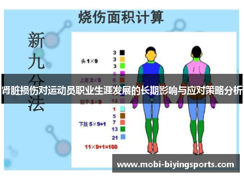 肾脏损伤对运动员职业生涯发展的长期影响与应对策略分析