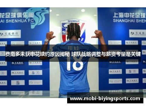 费南多未获申花续约原因揭秘 球队战略调整与薪资考量是关键