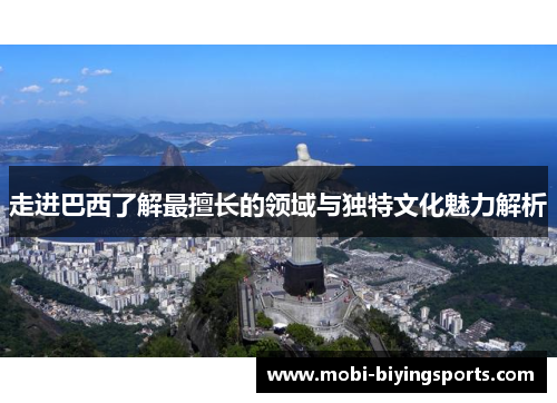 走进巴西了解最擅长的领域与独特文化魅力解析