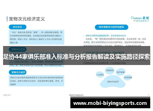 足协44家俱乐部准入标准与分析报告解读及实施路径探索 足协44家俱乐部准入标准与分析报告解读及实施路径探索