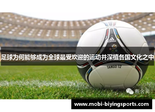 足球为何能够成为全球最受欢迎的运动并深植各国文化之中