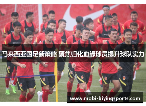 马来西亚国足新策略 聚焦归化血缘球员提升球队实力 马来西亚国足新策略 聚焦归化血缘球员提升球队实力