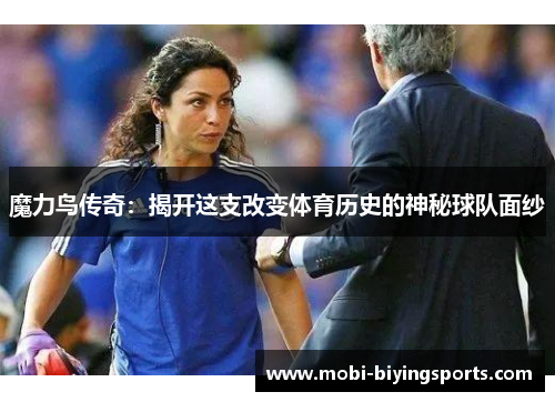 魔力鸟传奇：揭开这支改变体育历史的神秘球队面纱